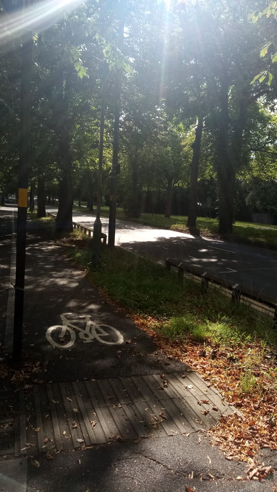 Northfield Cycle lane by Orthopaedic hospital