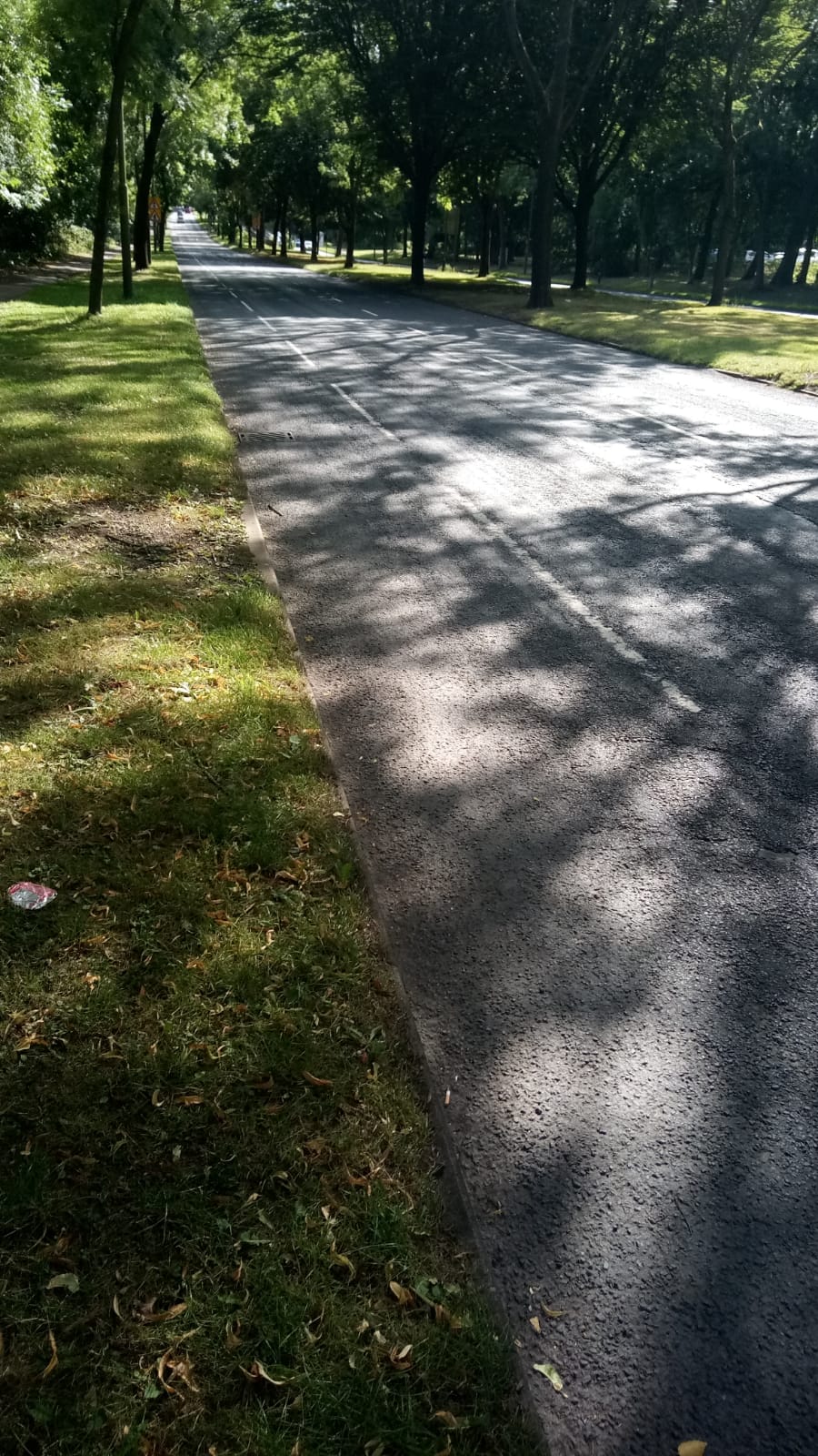 nortthfield cycle lane 2